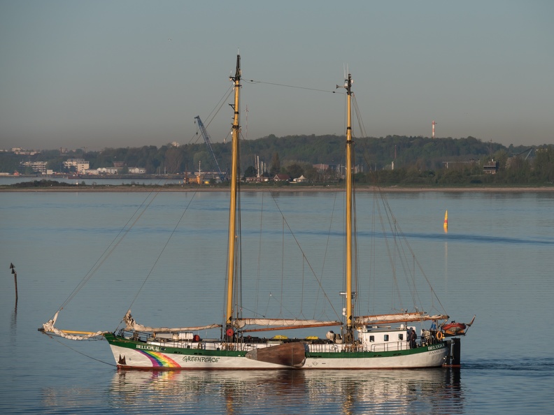 Greenpeace-Schiff BELUGA 2 morgens in Laboe - 2018