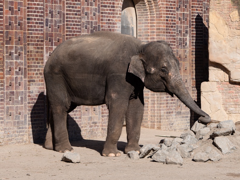 ZOO Leipzig März 2022 220309
