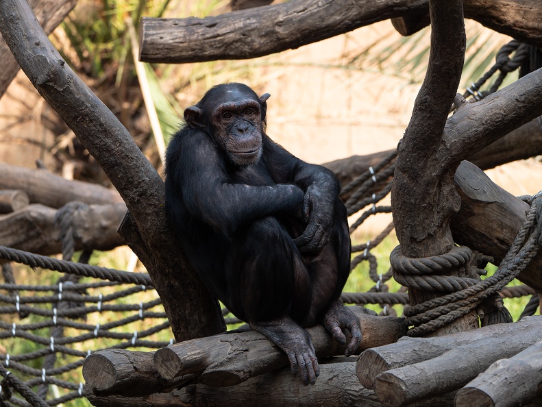 ZOO Leipzig März 2022 220309-2