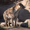 ZOO Leipzig März 2022 220309-5