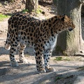 ZOO Leipzig März 2022 220324
