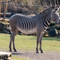 ZOO Leipzig März 2022 220324-3
