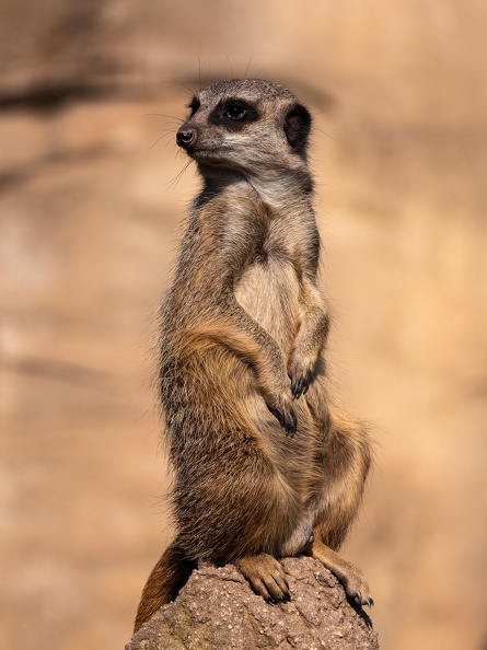 ZOO Leipzig März 2022 220324-5