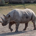 ZOO Leipzig März 2022 220324-6