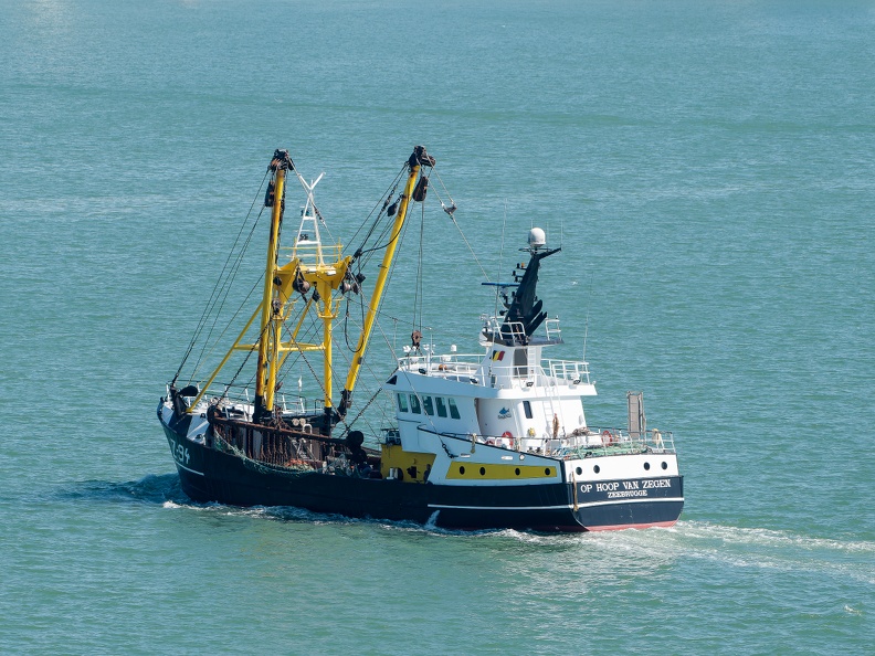 Z94 - OP HOOP VAN ZEGEN 220622