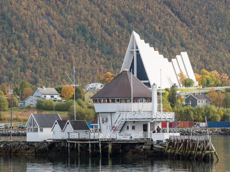 Molenkopf im Hafen Tromsö