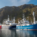 Vor der Fangsaison - Fischerdorf Ballstad (Lofoten)