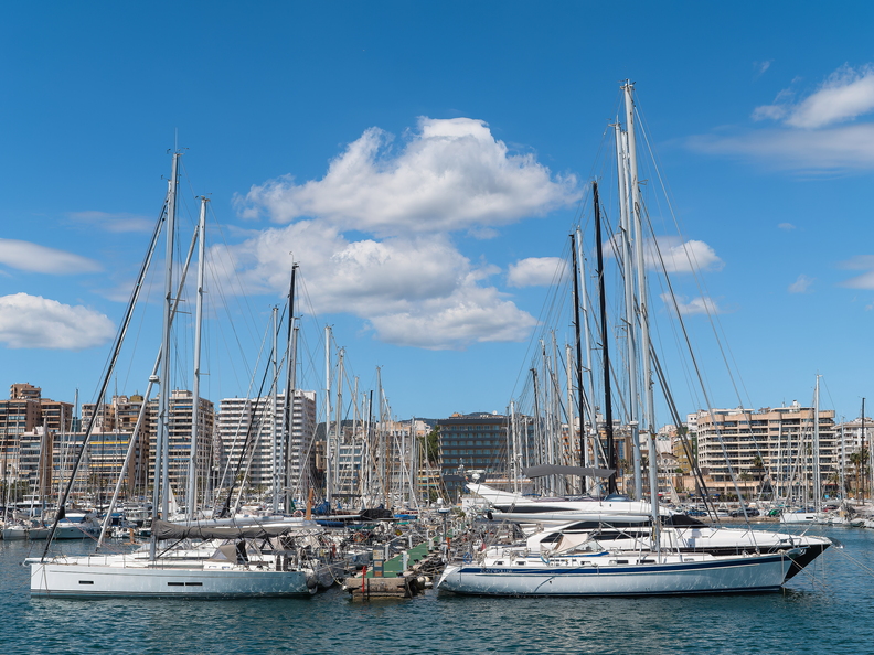 Hafen Palma