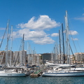 Hafen Palma